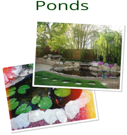 Ponds