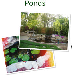 Ponds